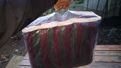 Ekonomik Ev Tipi Kaliteli Battaniye Tek Kişilik 3