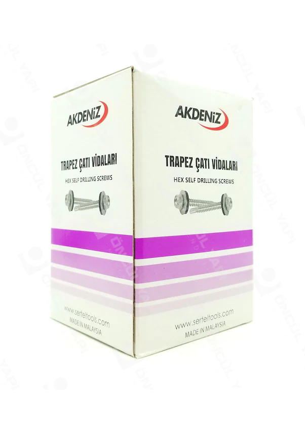 Trapez Çatı Vidası 4,8X25 mm 1200 Adet Pulsuz 4 mmDK - 2